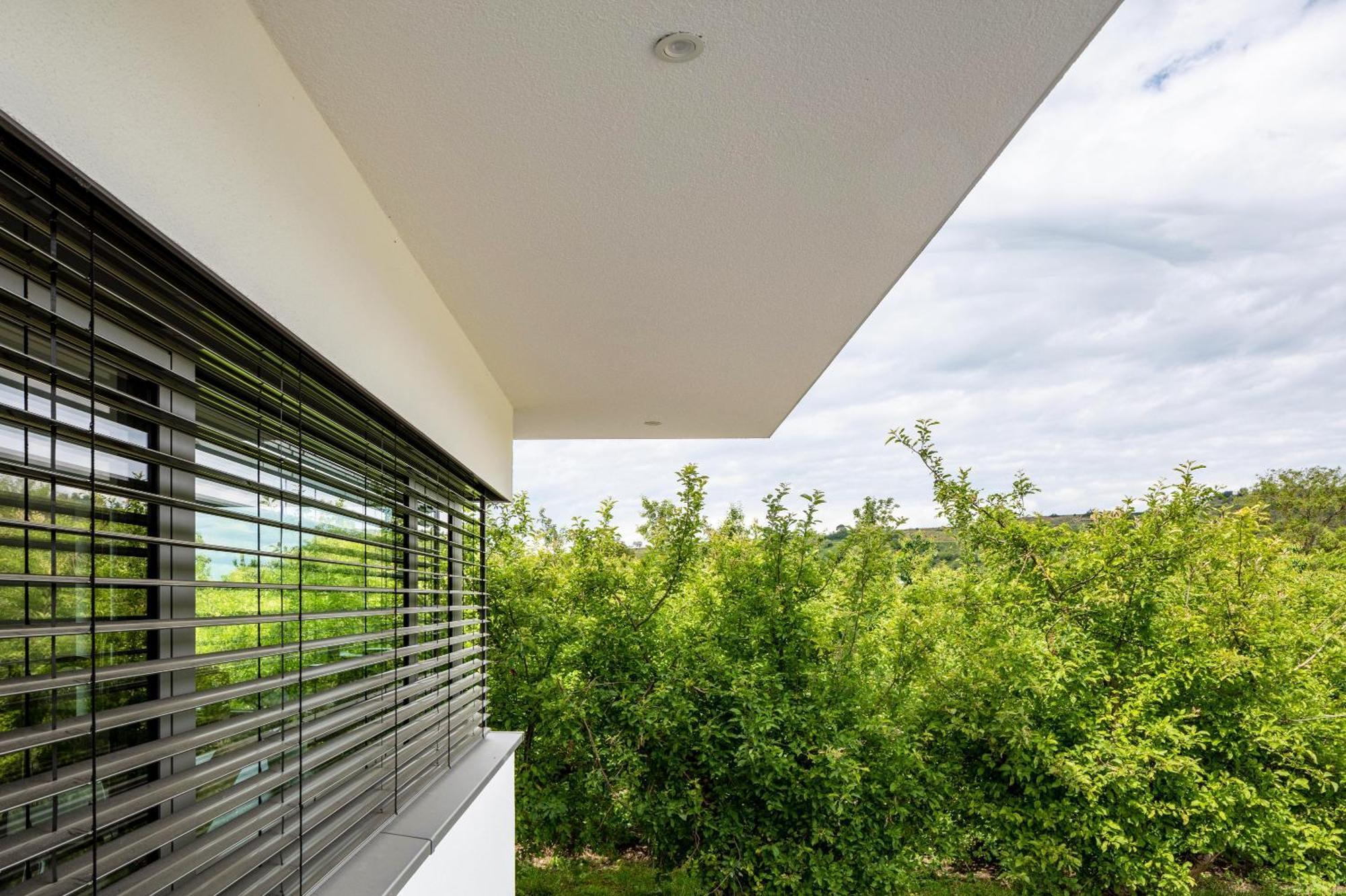 Ferienwohnung Im Obstgarten Ihringen Ngoại thất bức ảnh